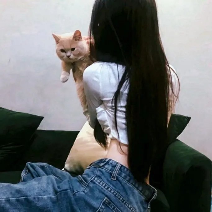 金牌间谍