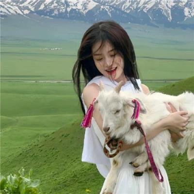 十二猴子第四季